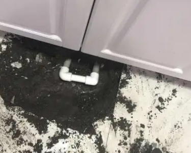 拜泉查漏水哪家好